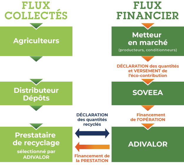 schéma flux de la collecte