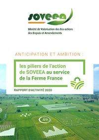 SOVEEA - Rapport d'activité 2020